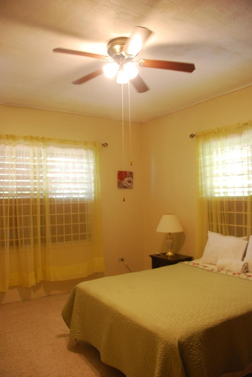 Jacks Hill Tropical Arcadia Kingston Exterior photo